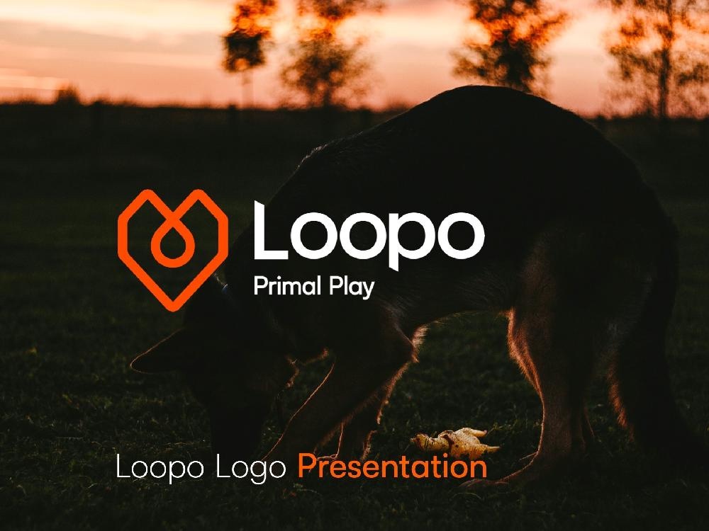 Loopo project