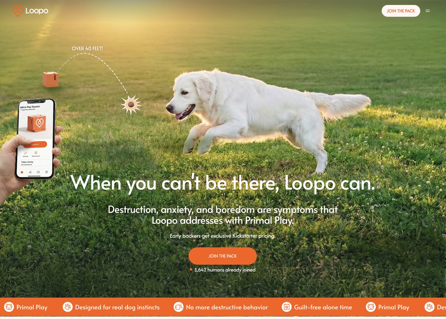 Loopo website homepage showing the product and messaging